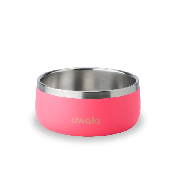 Pet Bowl - Image 5