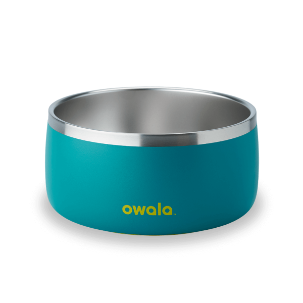 Pet Bowl - Image 9